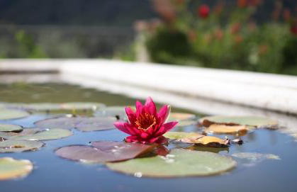 Gites de la Villa Pergola - Foto 80