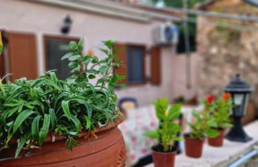 Afroditi's 1 - Photo 75