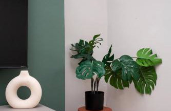 Vacant Nests Castle Hill Wi-Fi Village - Foto 15