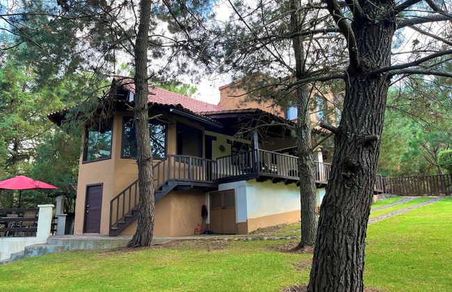 Cabaña El Roble Mazamitla - Foto 68