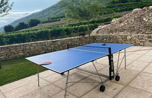 Poderi Campopian - Foto 29