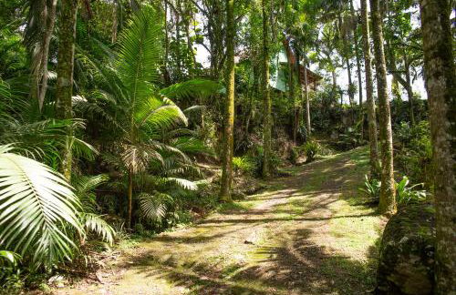 Canto da cascata - Foto 43
