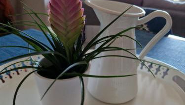 K for Kefalonia - Photo 5