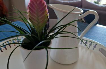 K for Kefalonia - Photo 5