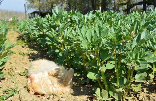 Agriturismo Riparossa - Foto 72