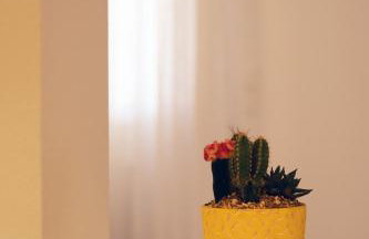 Manolia house near beach - Foto 2