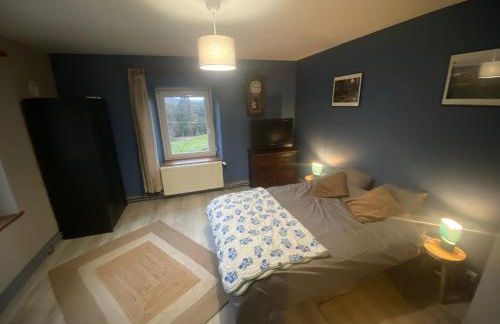 Le Gîte du Chat Gru - Foto 10