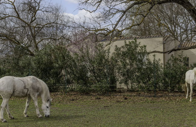 L'Aquillon - Foto 17