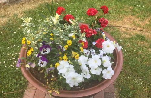 Ferien Wohnung Sonnenschein - Foto 6