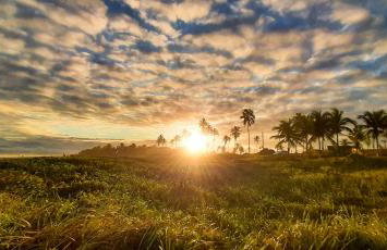 Chalé Beira-Mar com Piscina Privativa e Varanda em Barra do Jacuípe - Foto 75