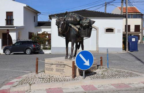 BBA1 Appartement climatisé centre-ville Ferrel - Foto 1