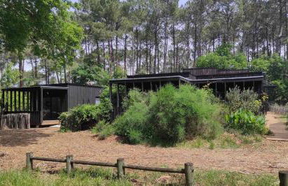 Eco-lodges Lacanau Moutchic Inn - 4 pers - Foto 29