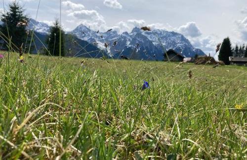 Ferienwohnung Einklang - Foto 36