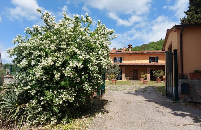 Agriturismo Podere Pilar - Foto 27