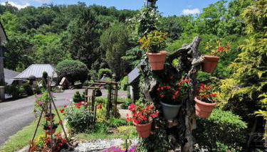 Gîte de France à Lissac sur Couze 3 épis - Gîte de France 4 personnes MAE-6524 - Foto 5