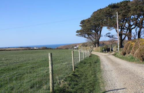 Sea View Lodge Porthgain - Foto 17
