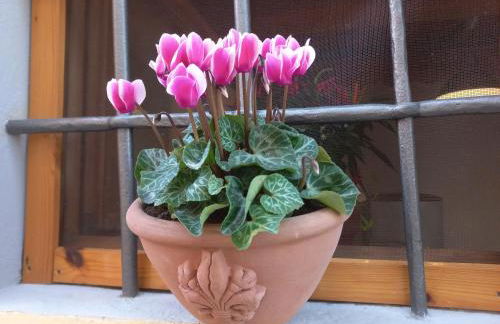 Casina Iris - Reggello - Foto 35