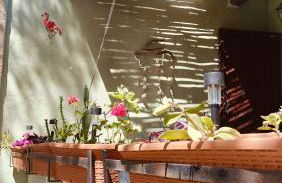 DomuNosta Pinus Village - Foto 8