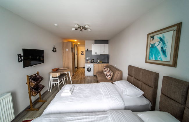 Loft 1 apartments New Gudauri - Foto 12