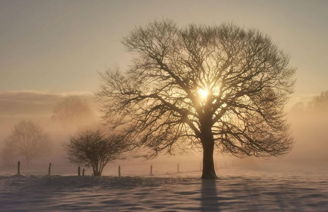 Libramont Stone Garden Haven - Photo 20