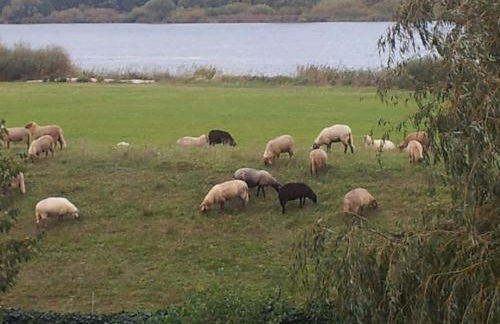 Elbe-Ferien 2 - Foto 6