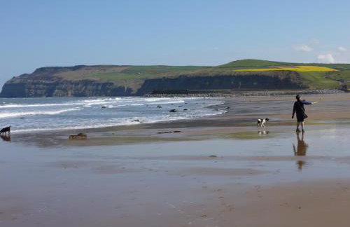 Griff Cottage, Skinningrove - Foto 10