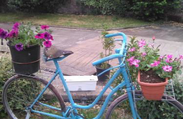 Casa Rural Calecha - Photo 19