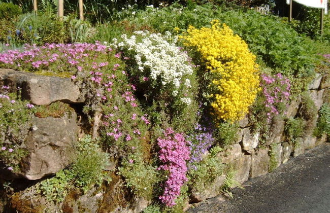 Oberrain in het "vakantiehuis Schenk" - Foto 26
