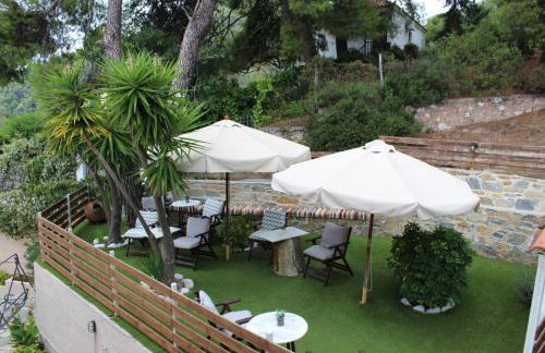 The Pine Trees - Foto 35