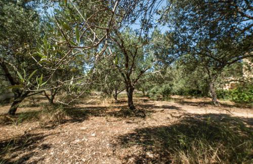 Koralia's Villas - Foto 48