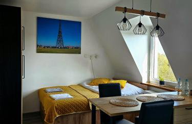 Apartament Pod Radiostacją -Gliwice Tarnogórska, parking free, klimatyzacja - Foto 17