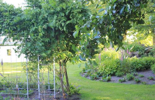 Kiekutsland - Foto 45