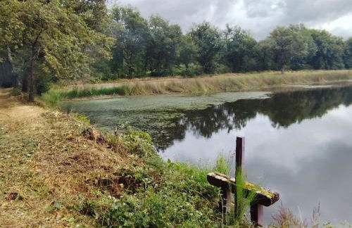 Maison plain-pied à la campagne avec jardin privatif, barbecue, proche Parc de la Brenne et Châteauroux - FR-1-591-599 - Foto 22