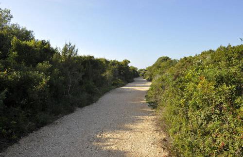 The House Aunt Regina - Foto 61