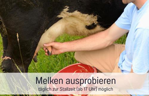 Bauernhof Finkel - Ferienwohnungen mit Balkon - Bergsicht - Traktor mitfahren - Tiere streicheln - entspannter Familienurlaub - zentrale Lage nahe Oberstdorf - Foto 68