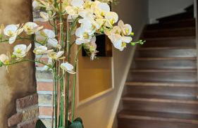 Ferienwohnung 2 beim Restaurant Rhodos - Foto 6