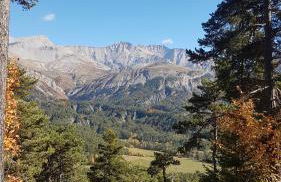 La Provence vous Attend***!!! - 1er étage - Foto 31