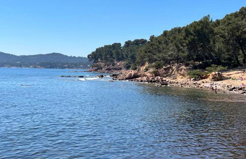 Charmant studio calme bord de mer Wifi-NESPRESSO-DRAPS-LINGE DE BAIN - Foto 27