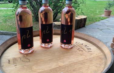 Casa villetta "La Colomba" Nizza Monferrato - Foto 44