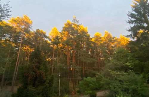 Studio im Haus Amselgarten - Foto 25