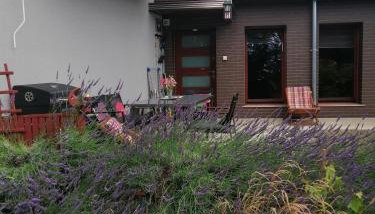 Leśna Wisełka - Foto 5, Garden view