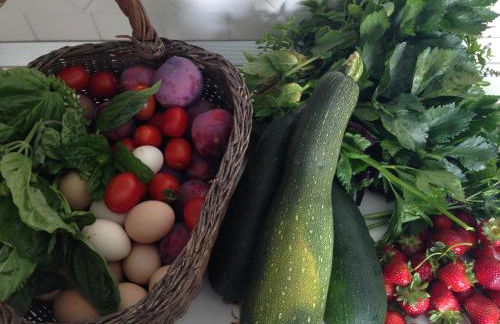 Villa San Cosma - Foto 44