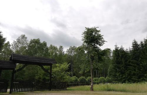 Agroturystyka Leśniczówka Więckowo-noclegi - Foto 9