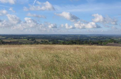 The Pigsty - Foto 14