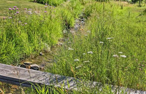 Rapid City Cabin with Hiking and ATV Trail Access - Foto 29