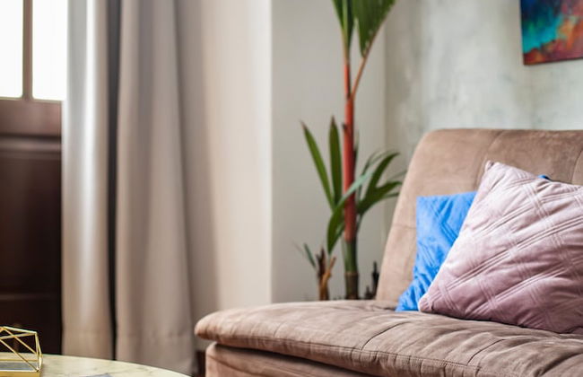 The Plaza Catedral Views by Acomodo Casco Viejo - Photo 3