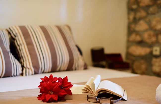 Villa Smilje Zadarvillas - Foto 4