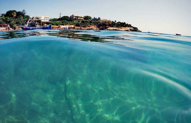 Snorkel em Agia Pelagia - Foto 6