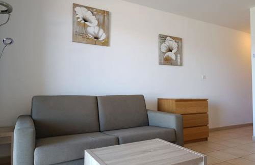 CHEZ ADRIEN 108-Appartement magnifique vue mer piscine chauffée - Foto 16