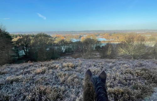 Roundhill New Forest - Foto 11